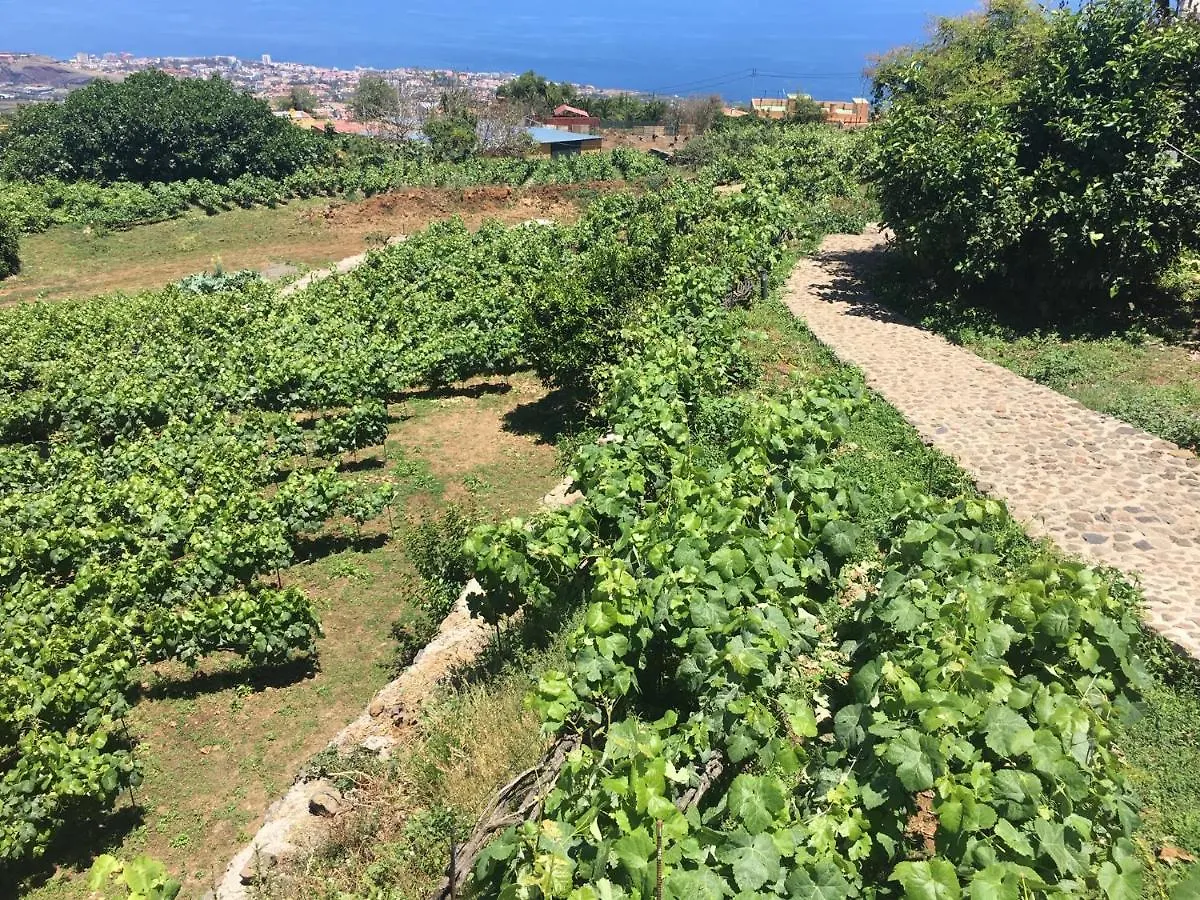 Finca El Milagro - Las Vistas Santa-Cruz de Ténérife 0*,  Espagne